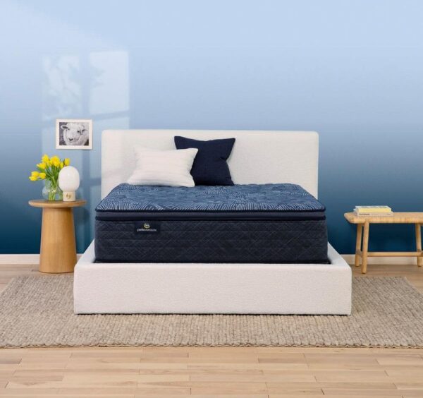 Serta Perfect Sleeper Oasis Sleep Full Firm Pillow Top 14.5 in. Mattress Set with 9 in. Foundation