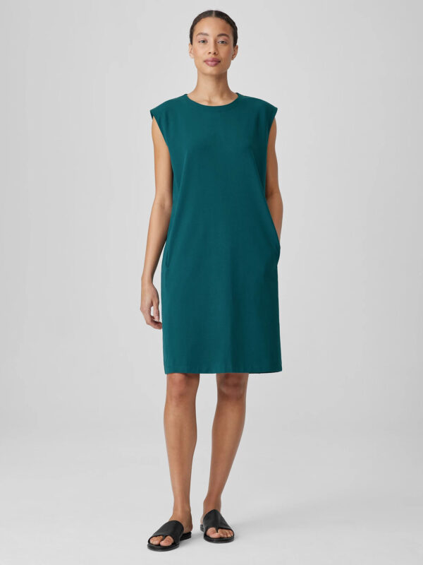 EILEEN FISHER Pima Cotton Stretch Jersey Round Neck Dress    female  size:Extra Extra Small